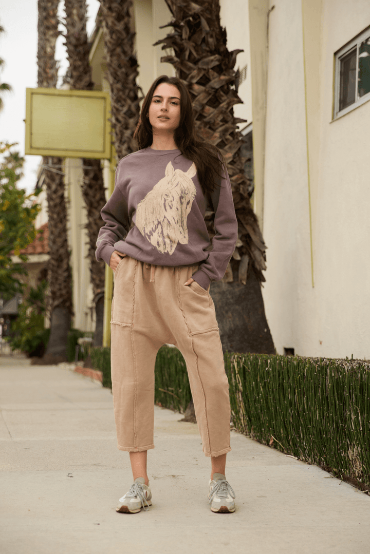 Stallion Sweatshirt by People of Leisure — 100% organic cotton, relaxed fit, ethically made in LA. Sizes XS–XL